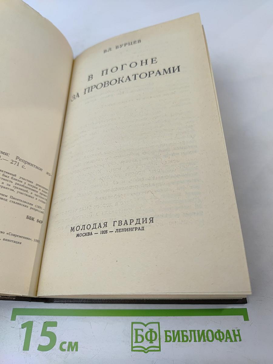В погоне за провокаторами