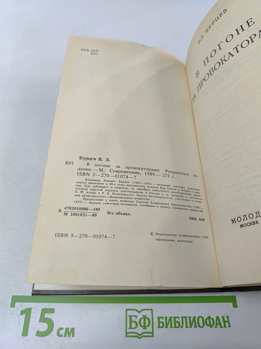 В погоне за провокаторами