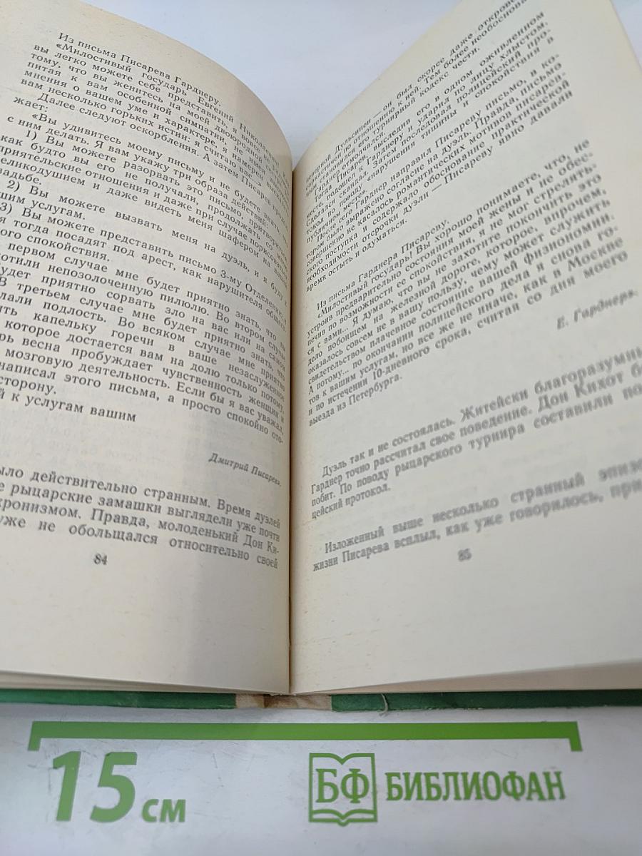 Мыслящий пролетариат Писарева