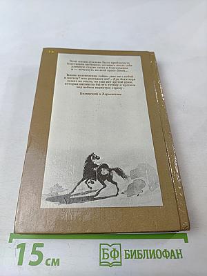 Лермонтов. Знакомясь с биографией поэта...