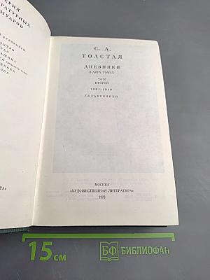 Дневники. Том второй. 1901-1910. Ежедневники