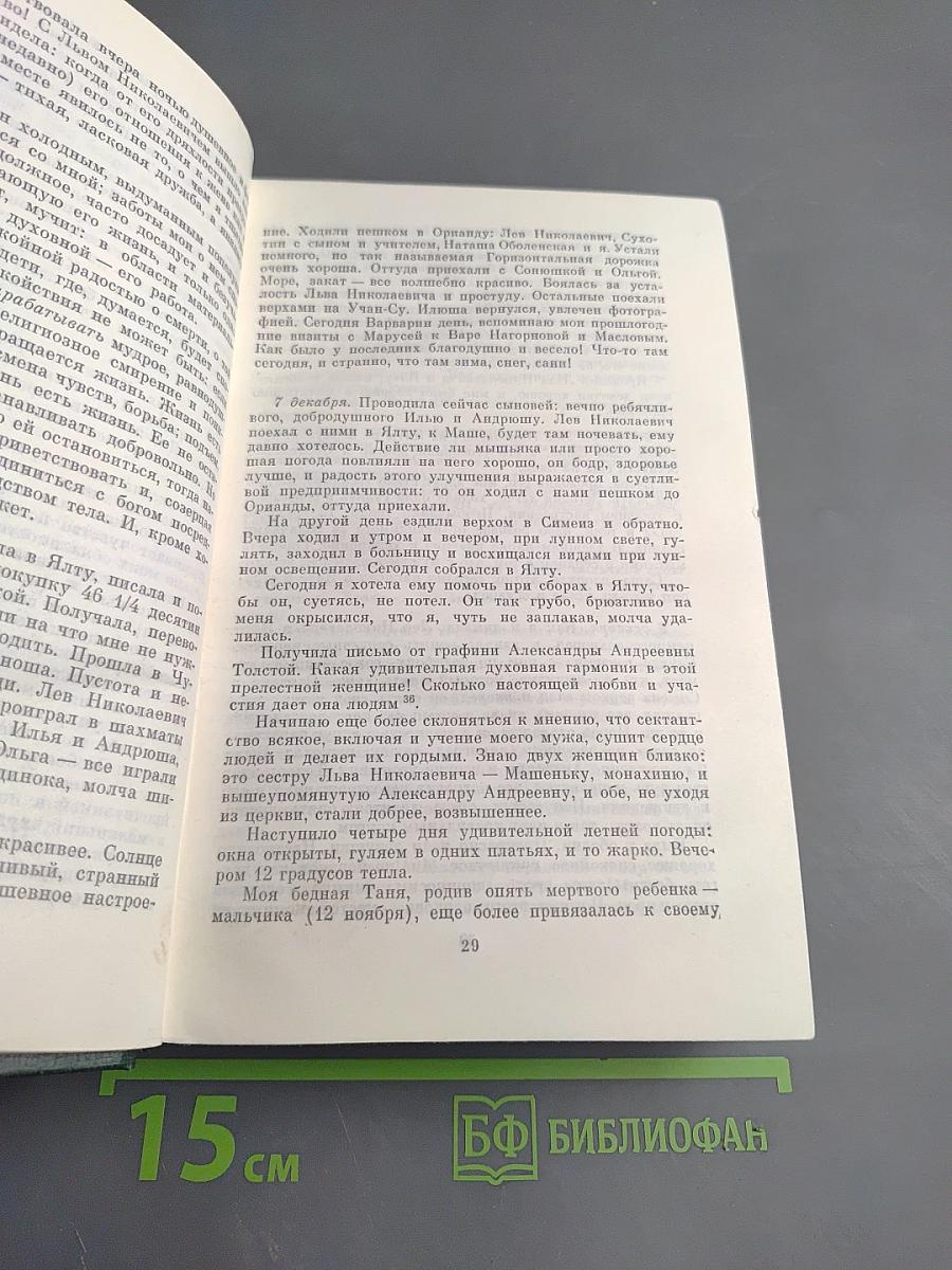 Дневники. Том второй. 1901-1910. Ежедневники