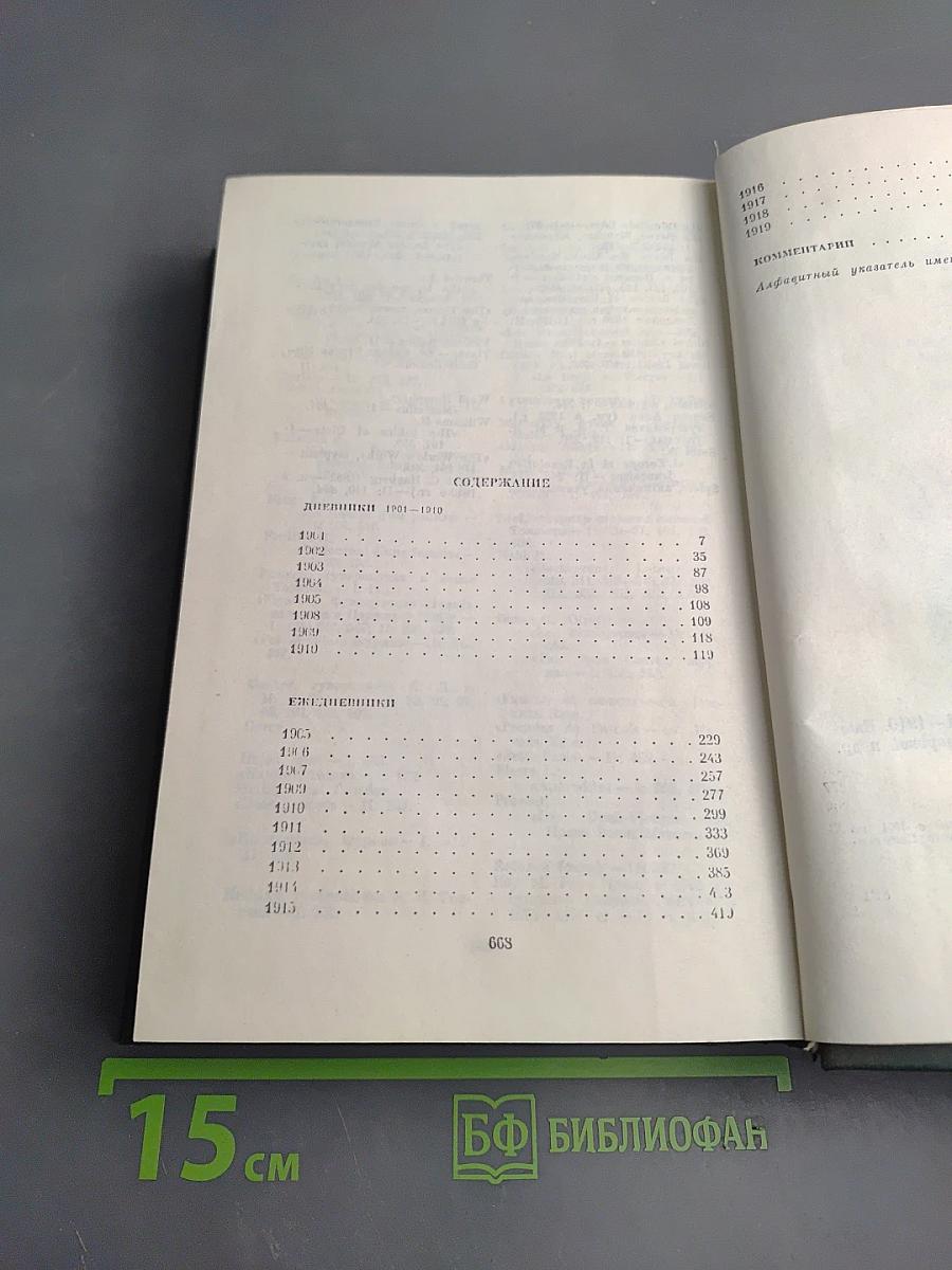 Дневники. Том второй. 1901-1910. Ежедневники