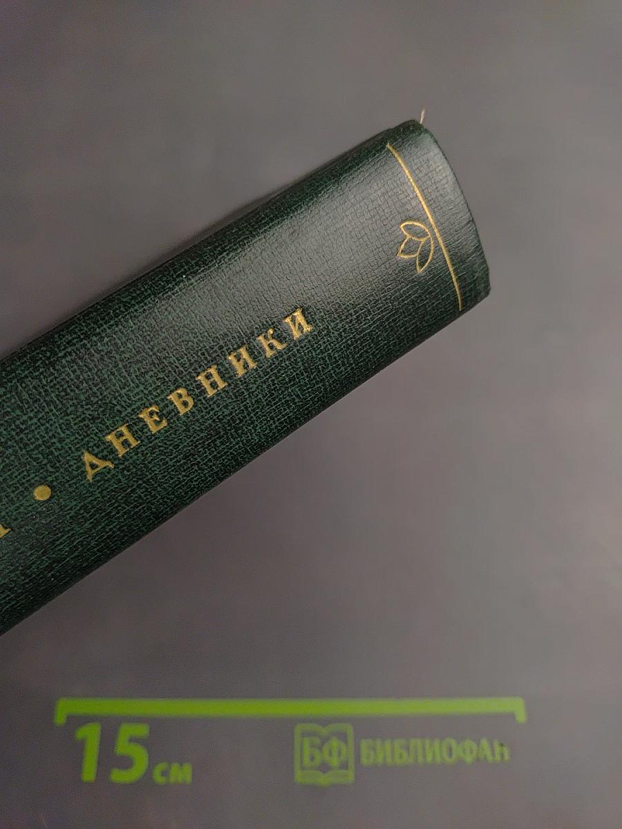 Дневники. Том второй. 1901-1910. Ежедневники