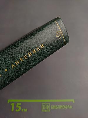 Дневники. Том второй. 1901-1910. Ежедневники