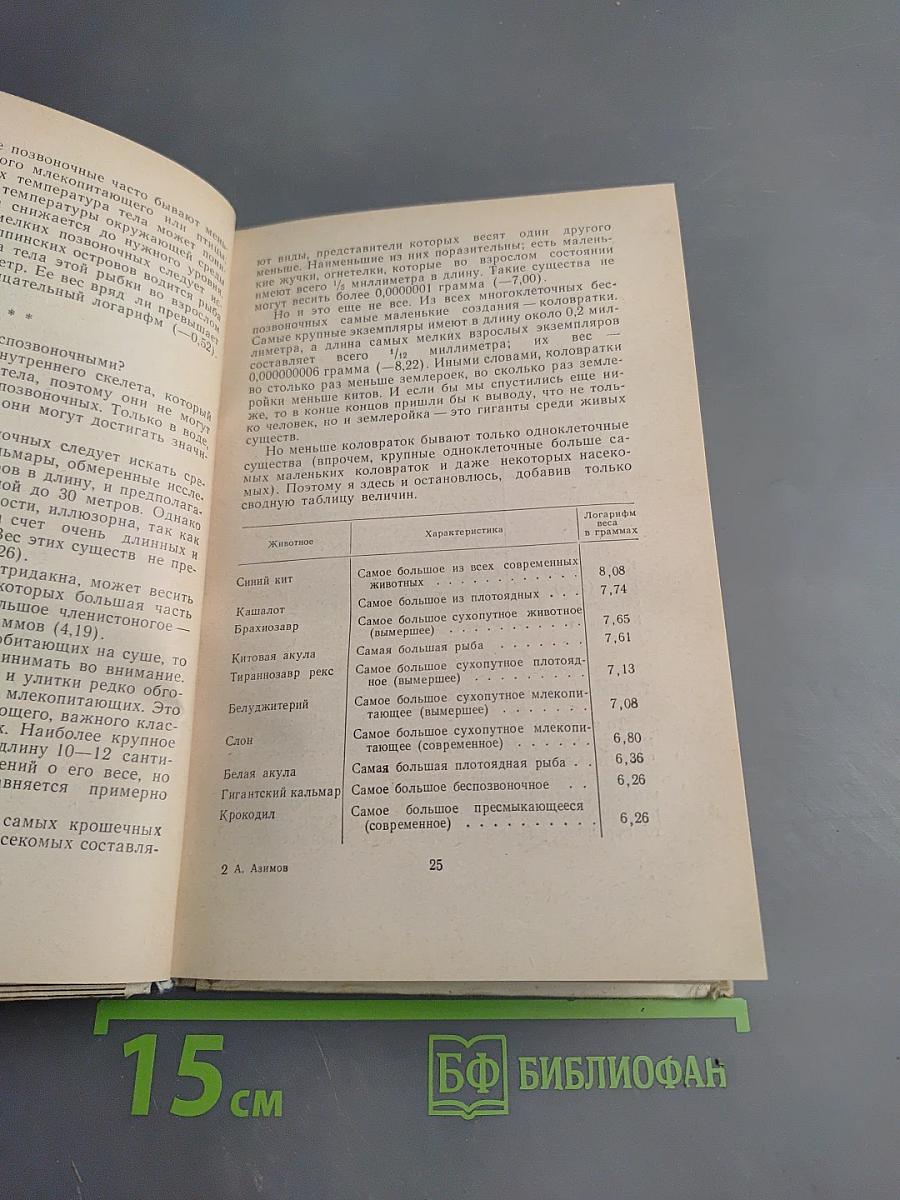 Вид с высоты