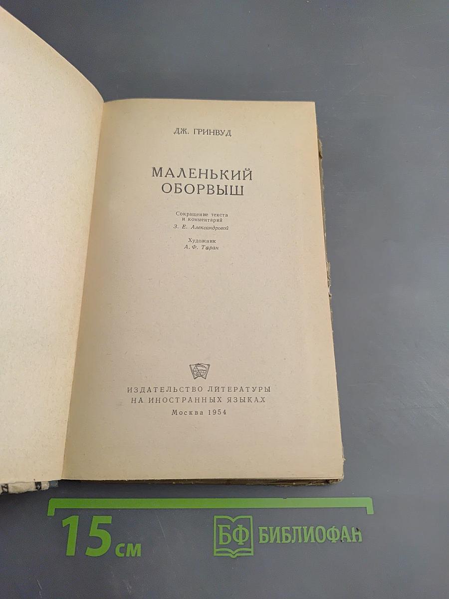 Маленький оборвыш