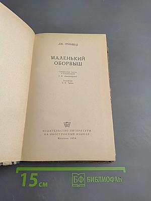 Маленький оборвыш