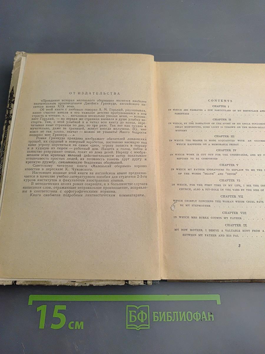 Маленький оборвыш