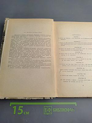 Маленький оборвыш