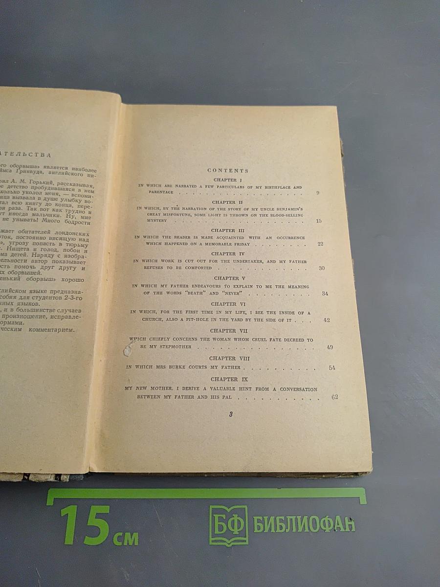 Маленький оборвыш