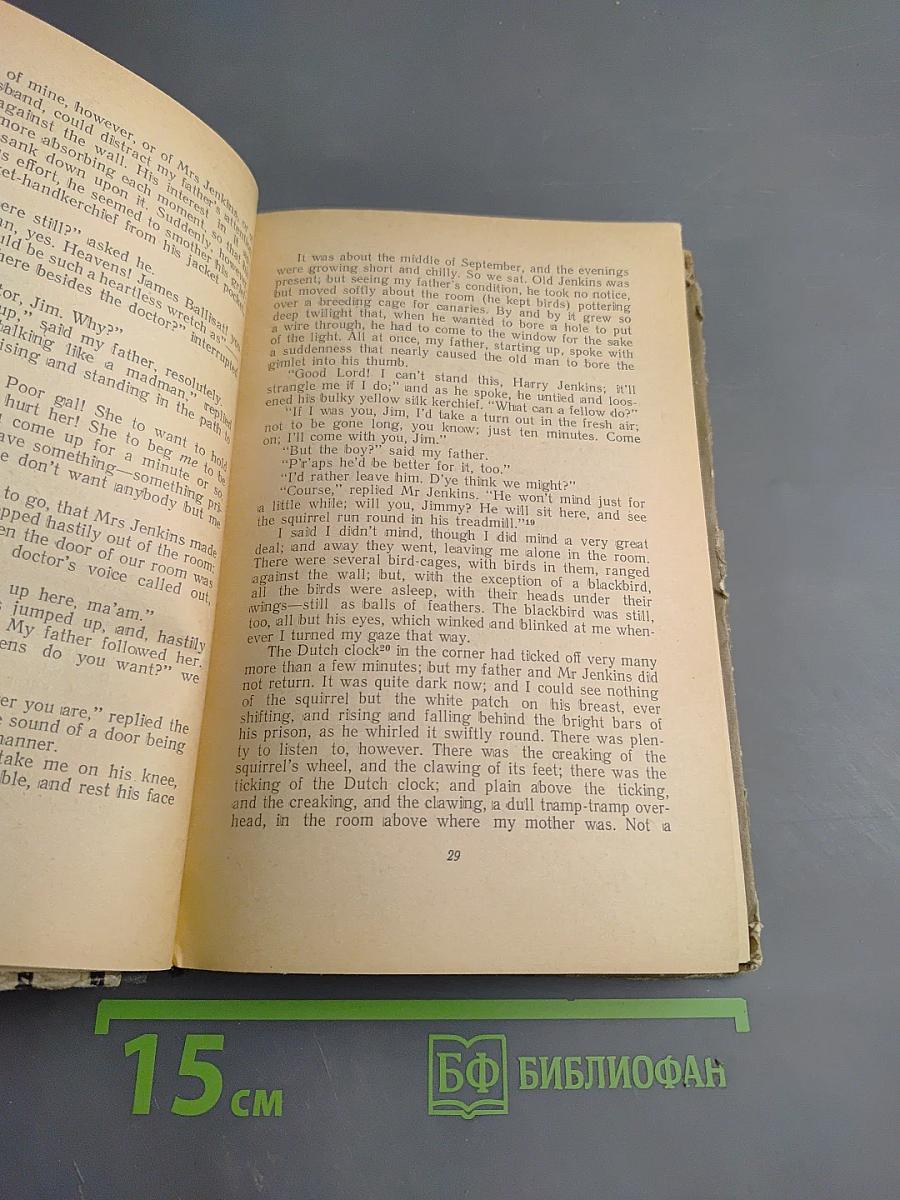 Маленький оборвыш