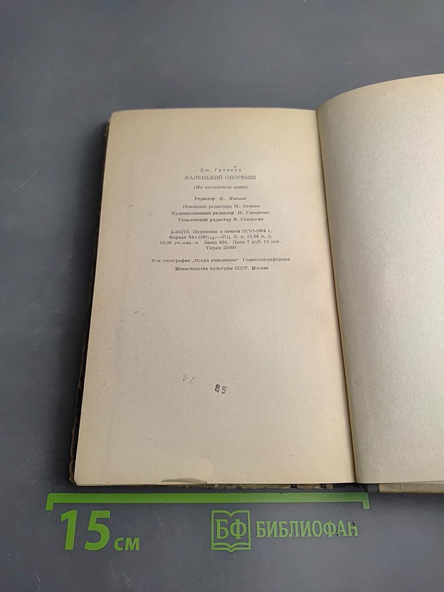 Маленький оборвыш