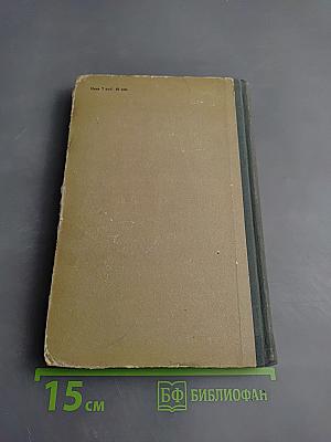 Маленький оборвыш