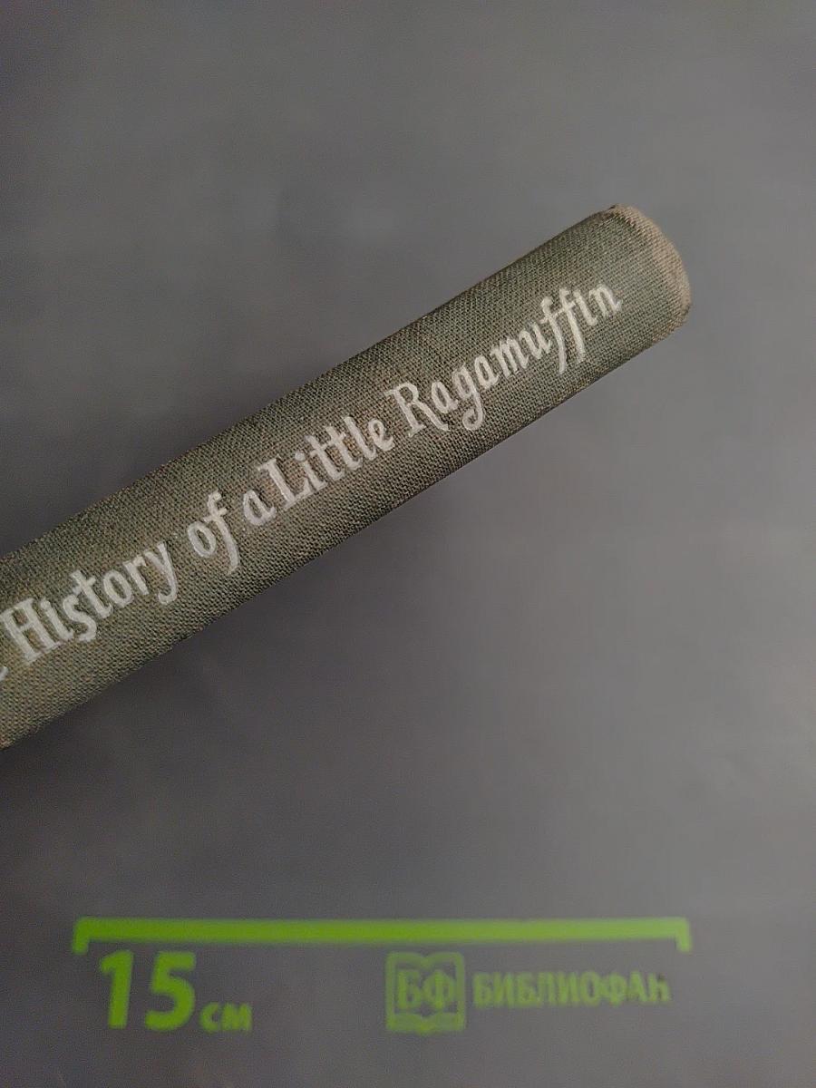 Маленький оборвыш