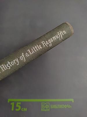 Маленький оборвыш