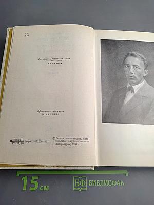 Александр Блок в воспоминаниях современников. Том второй