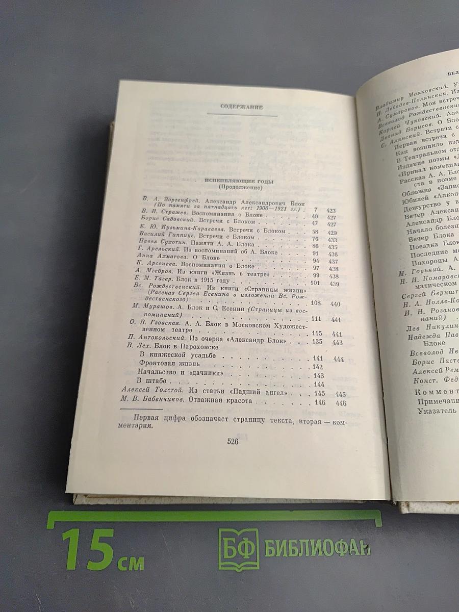 Александр Блок в воспоминаниях современников. Том второй