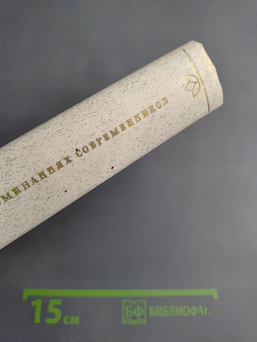 Александр Блок в воспоминаниях современников. Том второй