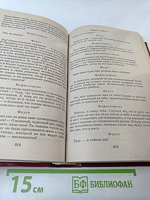 Книга для ученика и учителя. И.В. Гете. Стихотворения, Страдания юного Вертера, Фауст