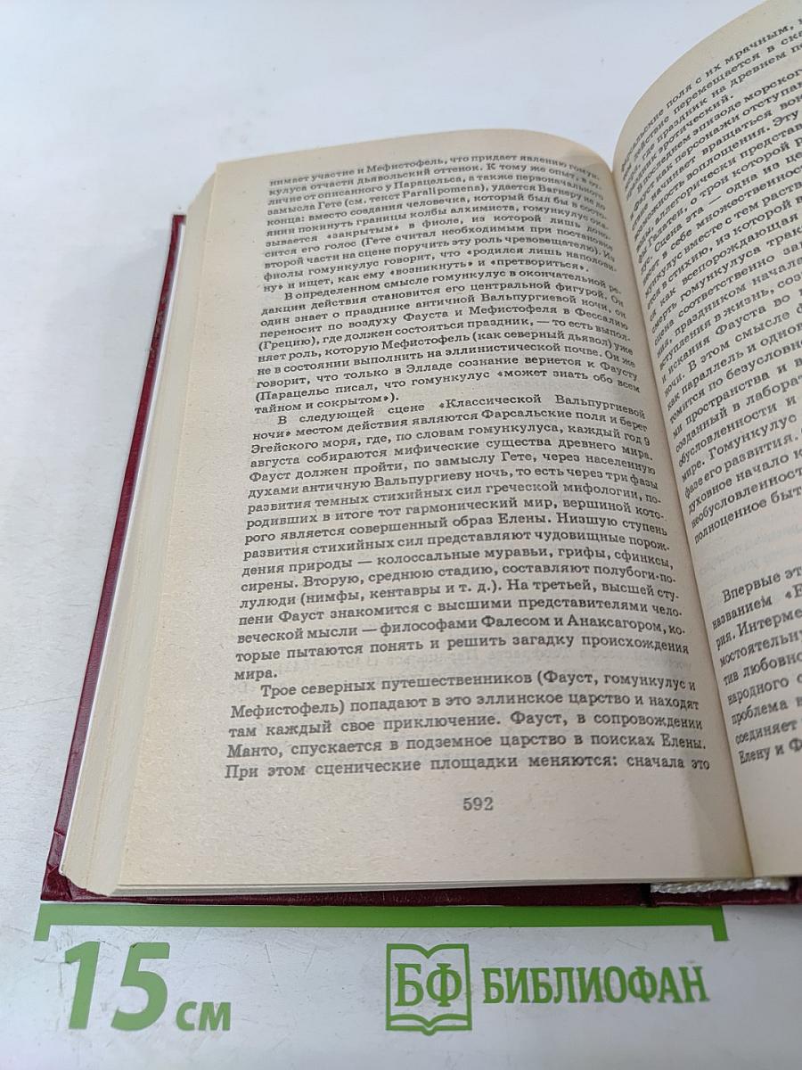 Книга для ученика и учителя. И.В. Гете. Стихотворения, Страдания юного Вертера, Фауст