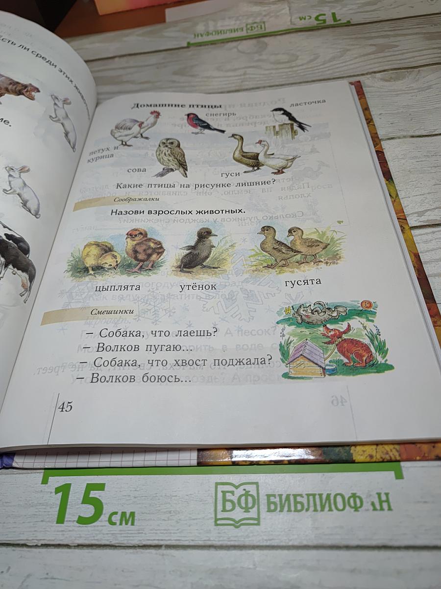 Окружающий мир 1 класс. Учебник для четырехлетней начальной школы. Второе полугодие