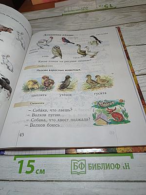 Окружающий мир 1 класс. Учебник для четырехлетней начальной школы. Второе полугодие