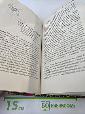 Начало начал на пороге тонкого мира