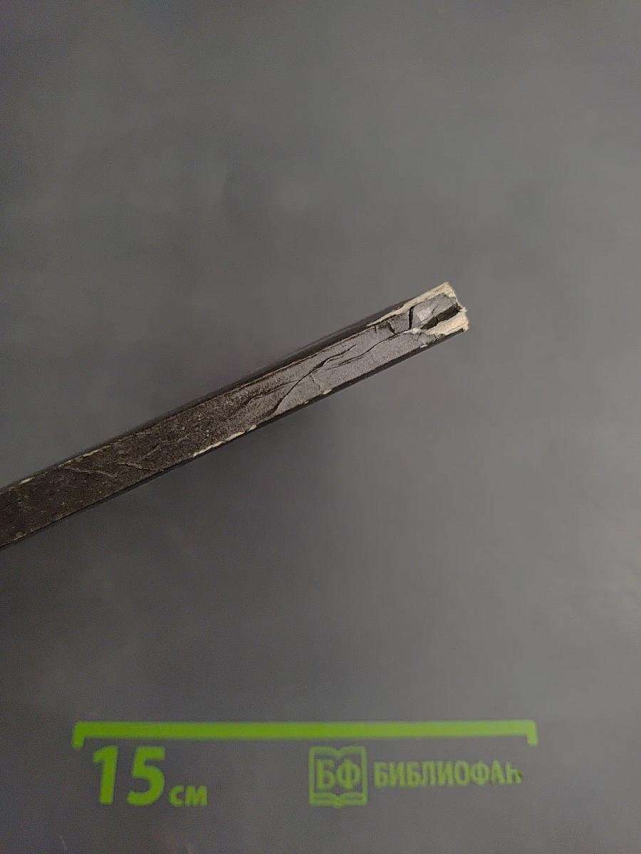 Древо жизни