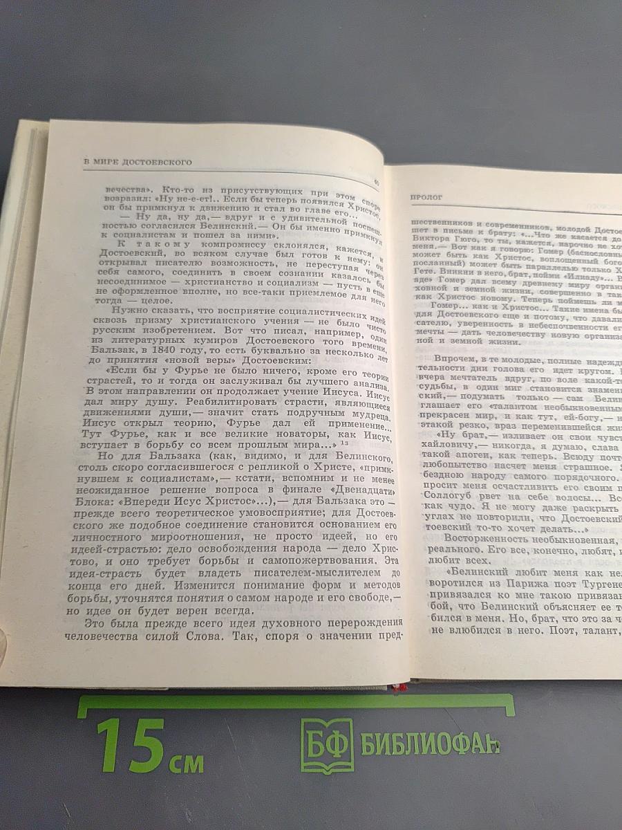 В мире Достоевского