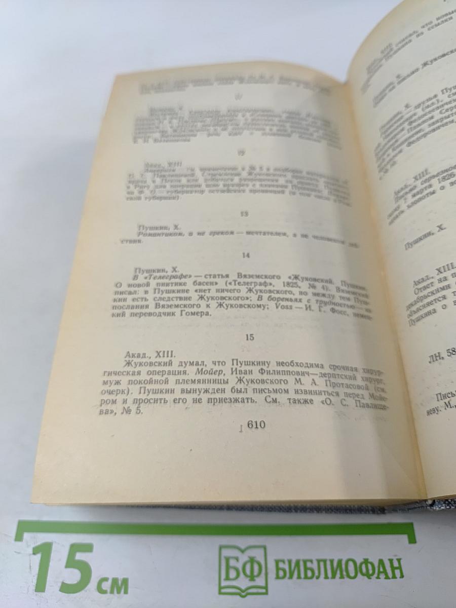 Друзья Пушкина. Переписка, воспоминания, дневники. Том 1