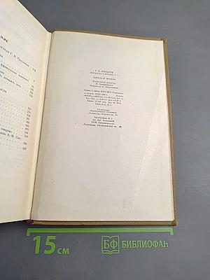 Литература и эстетика. Том первый. Теория искусства и история эстетической мысли