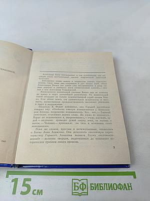 Блок в Петербурге - Петрограде