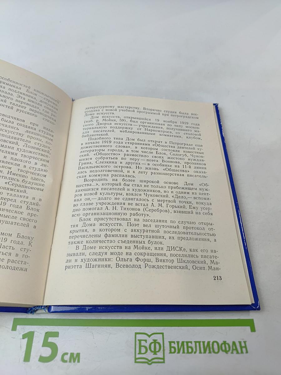 Блок в Петербурге - Петрограде