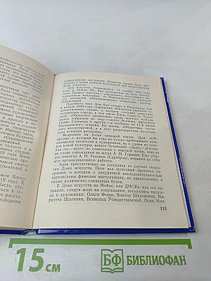 Блок в Петербурге - Петрограде