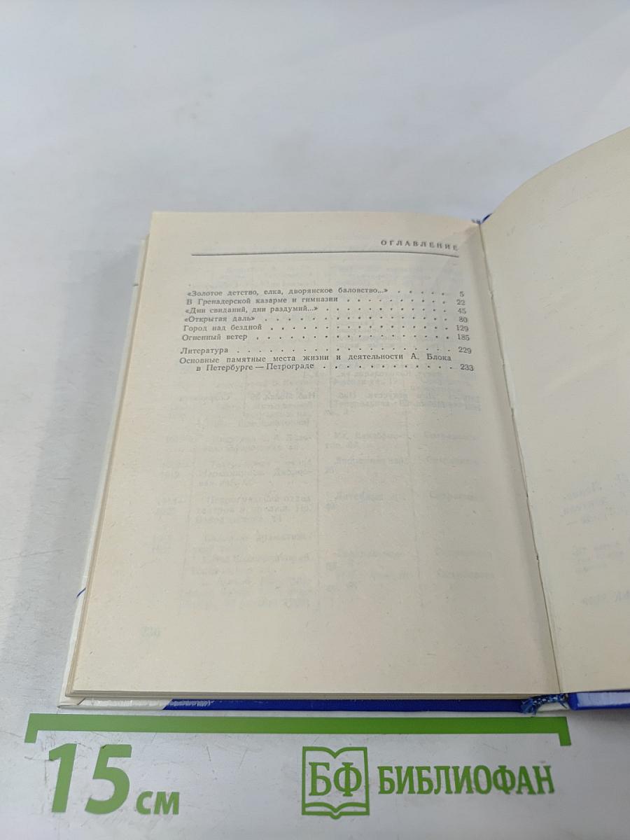 Блок в Петербурге - Петрограде