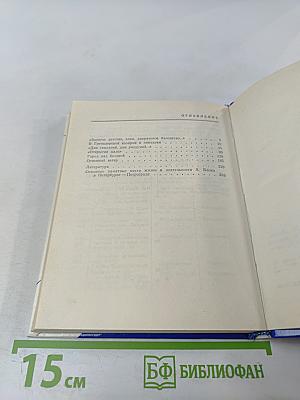 Блок в Петербурге - Петрограде