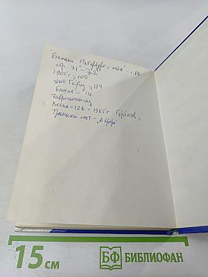 Блок в Петербурге - Петрограде