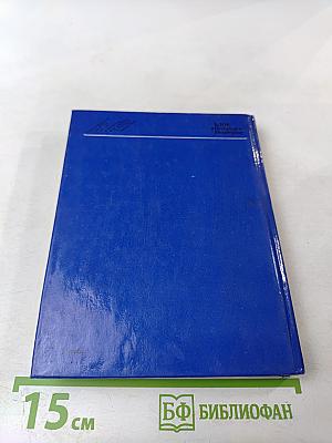 Блок в Петербурге - Петрограде