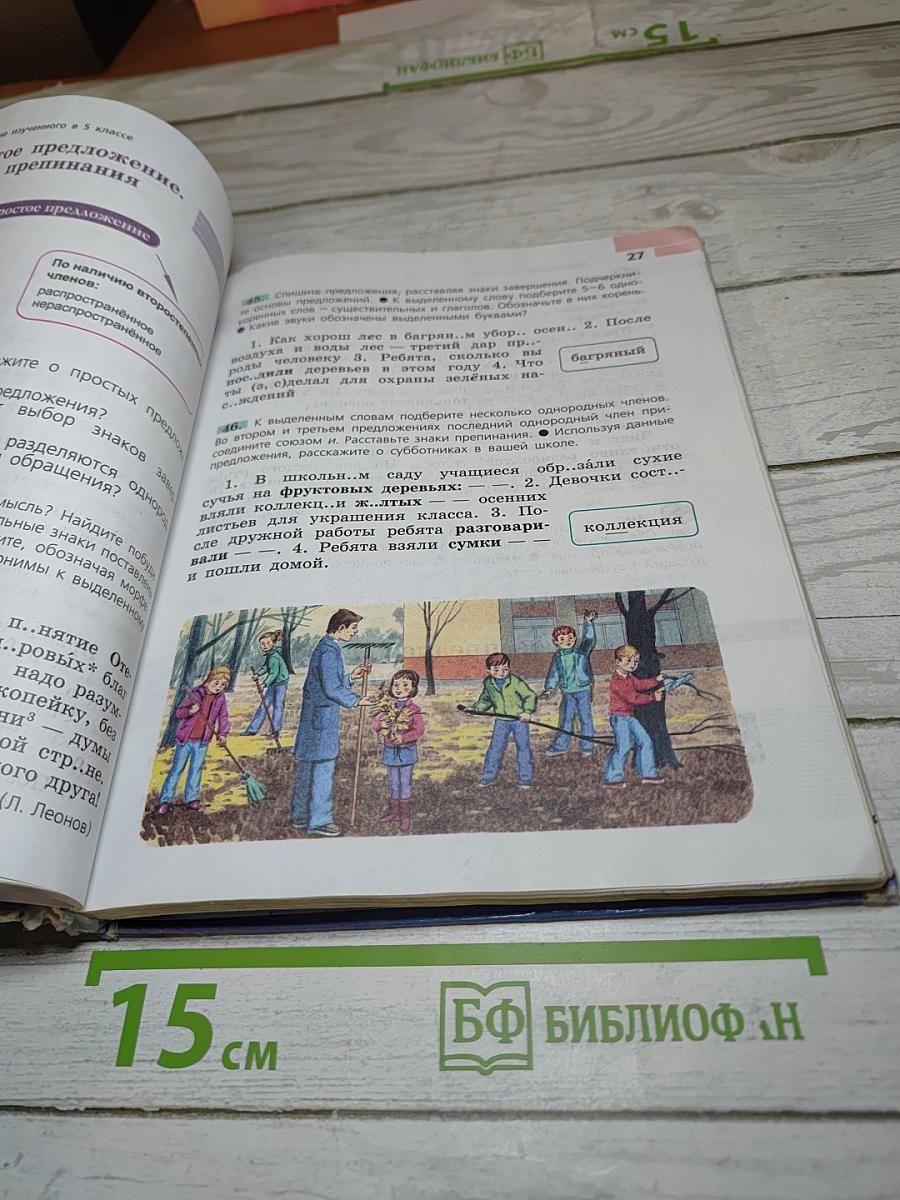 Русский язык 6 класс. Часть 1
