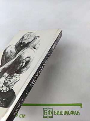 The Hermitage: A Guide