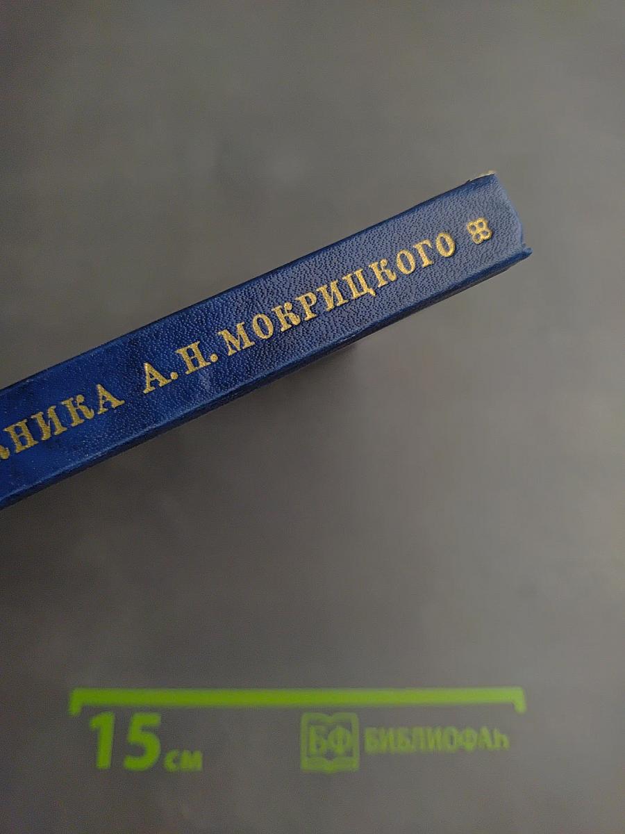 Дневник художника А.Н. Мокрицкого