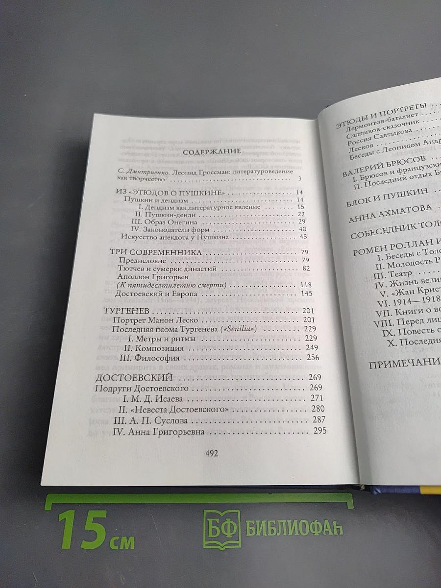 Литературные портреты