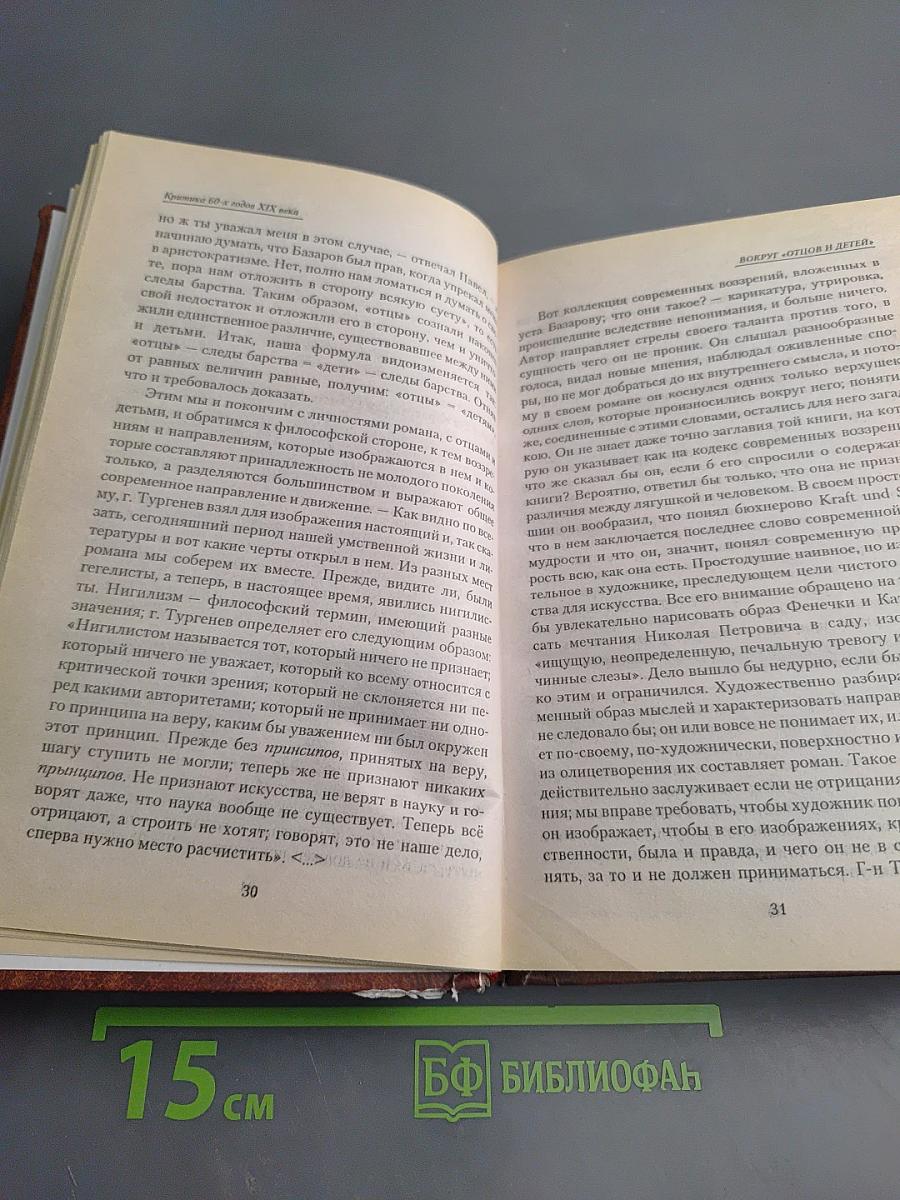 Критика 60-х годов XIX века