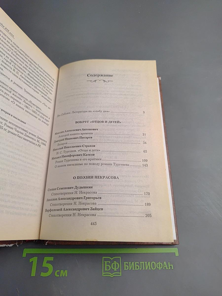 Критика 60-х годов XIX века