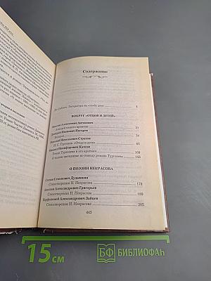 Критика 60-х годов XIX века