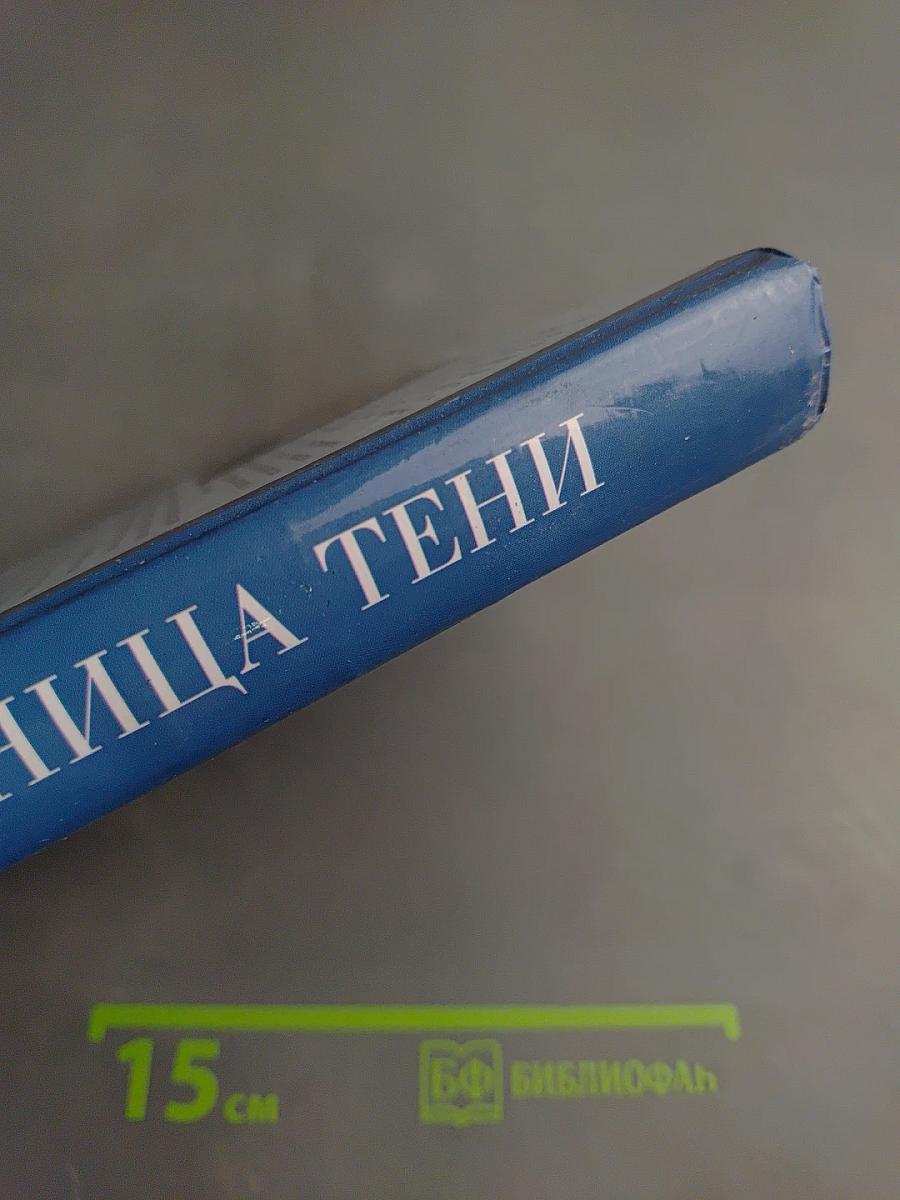 Граница тени. Литература, философия и живопись у Джордано Бруно