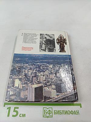 Пятнадцатый камень сада Рёандзи