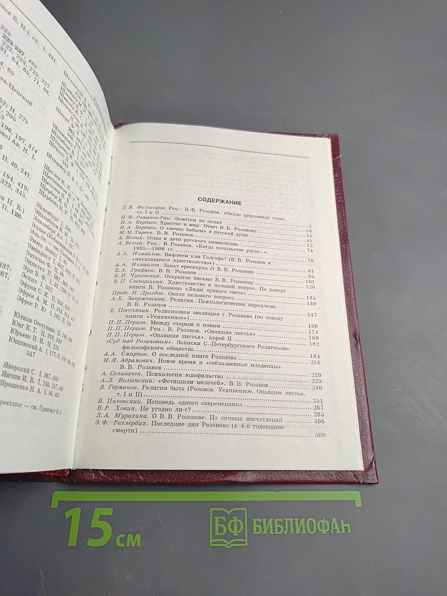 В. В. Розанов: Pro et Contra. Личность и творчество Василия Розанова в оценке русских мыслителей и исследователей. Антология. Книга II