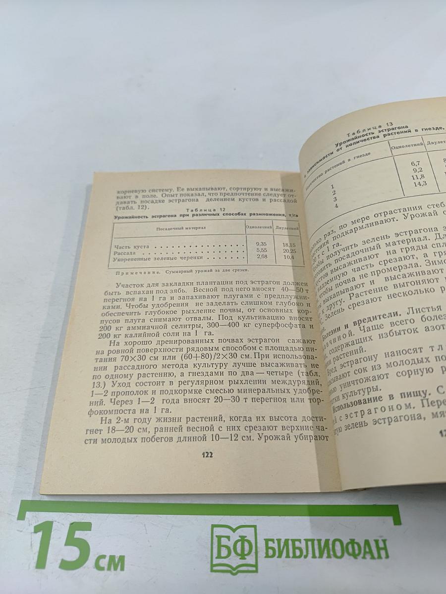 Многолетние пряновкусовые овощи